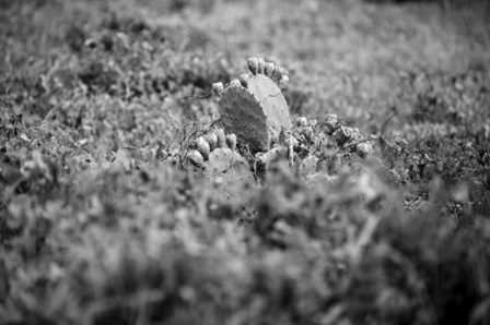 BH3A1576 - Version 2.jpg